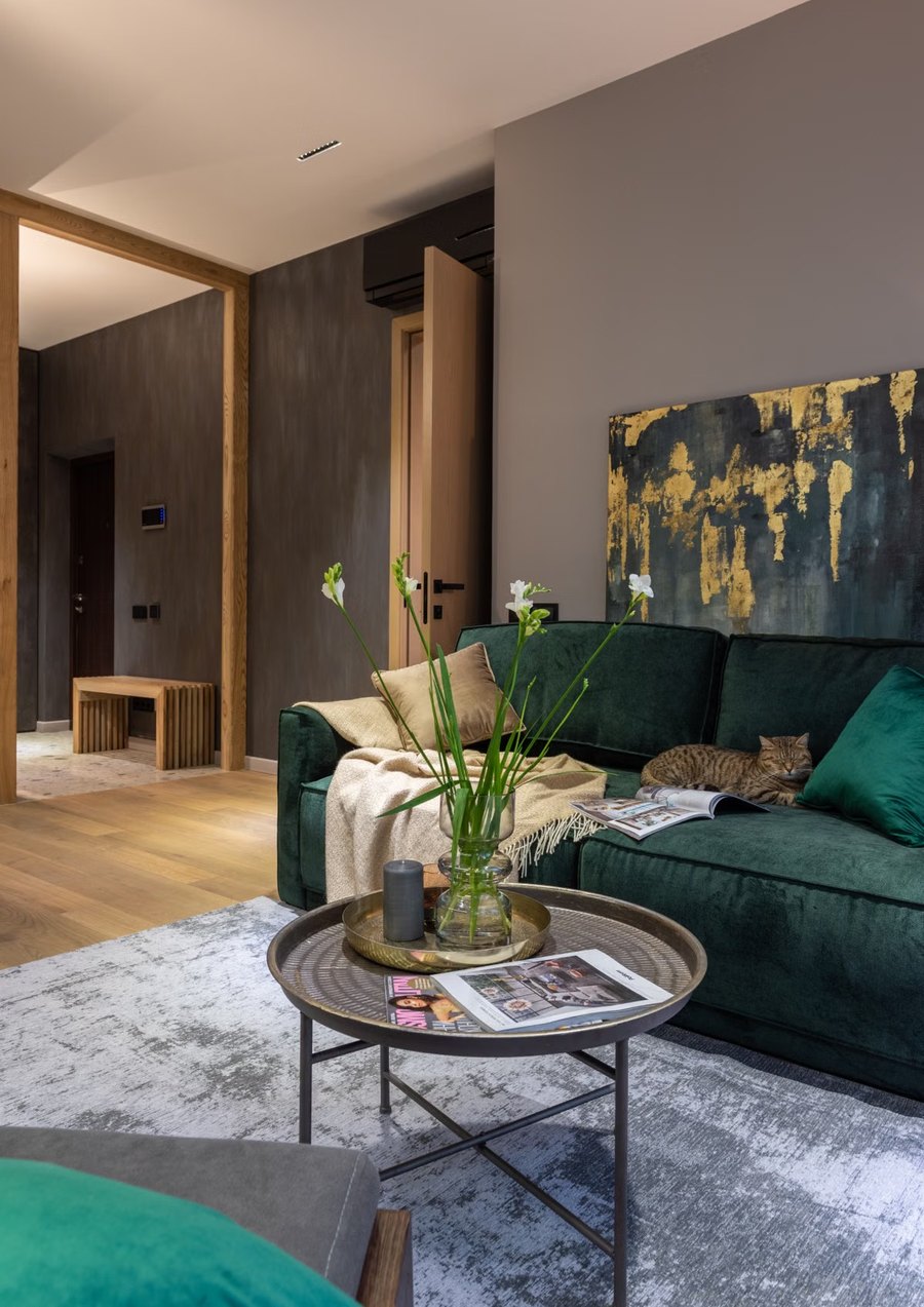 Living de un departamento del proyecto